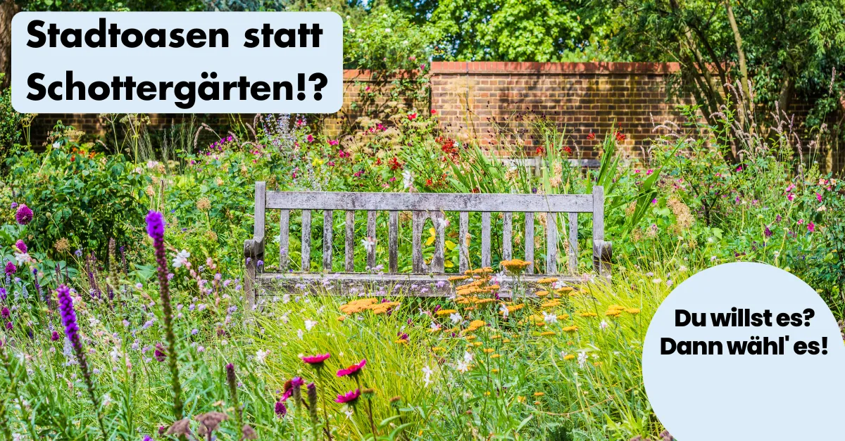 ohnelogo_linkedin_lebenswerte_stadte_stadtoase